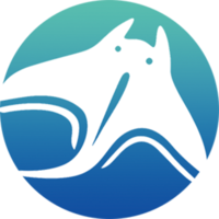 Manta Network