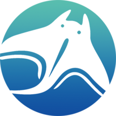 Manta Network
